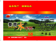 城市