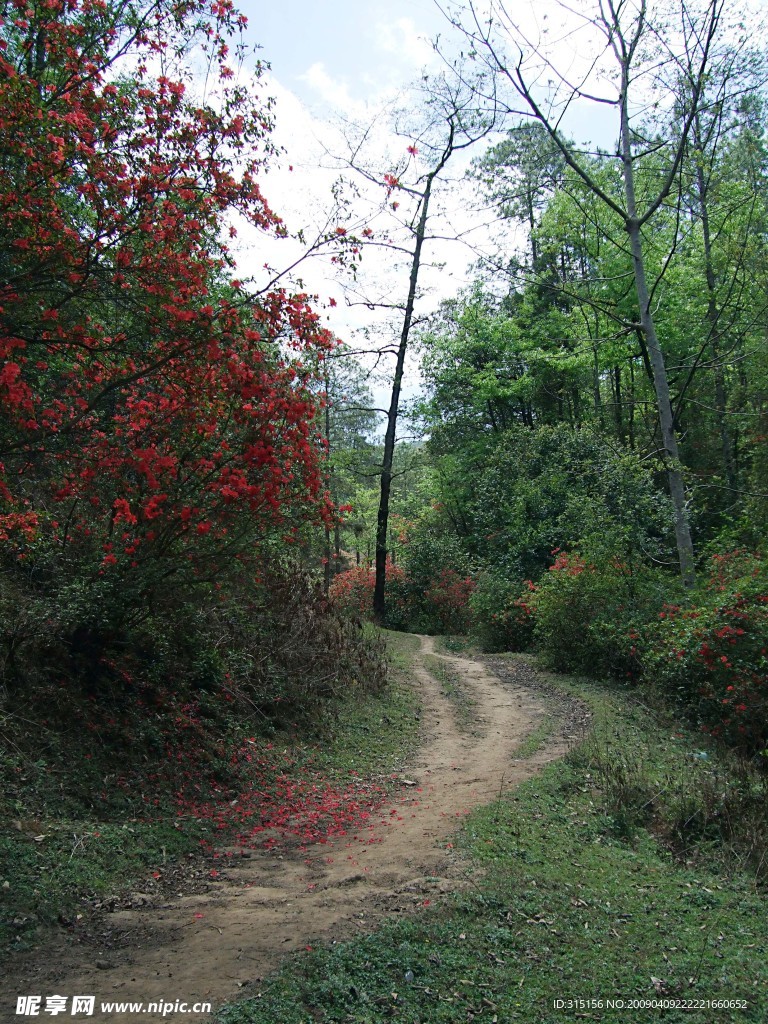 山路