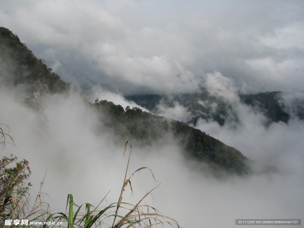 阿里山的雾