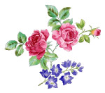 韩国花纹