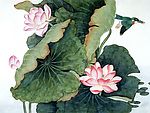 荷花图