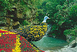风景