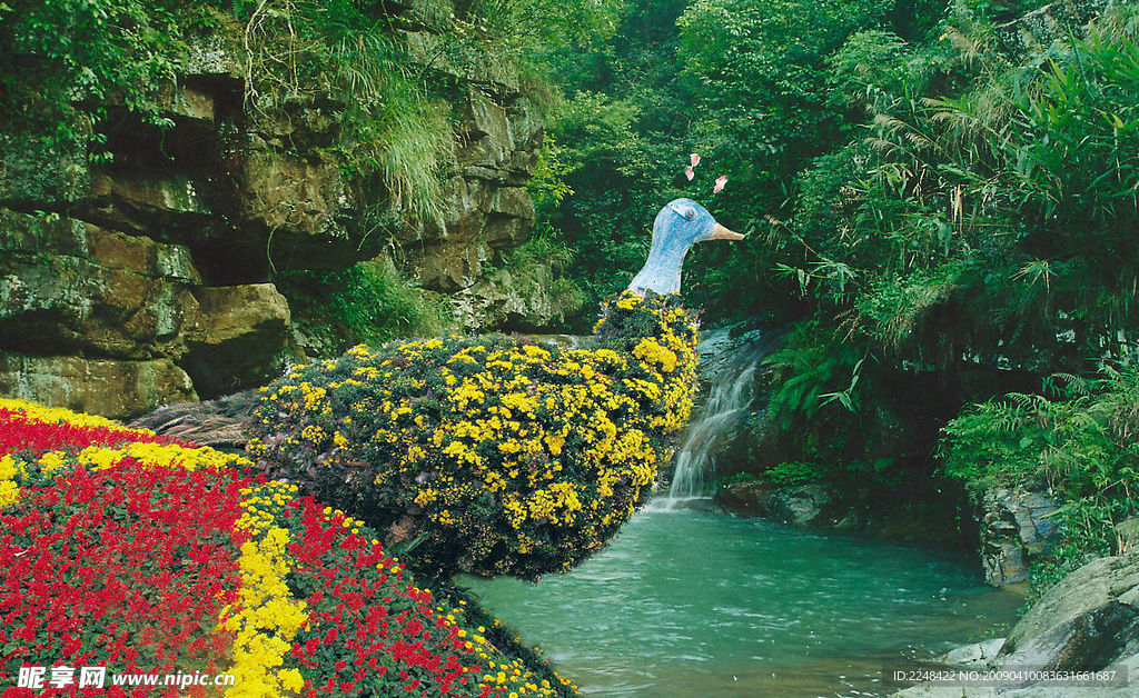 风景