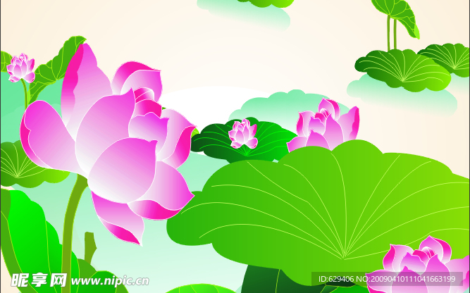 荷花 矢量