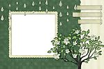 植物相框