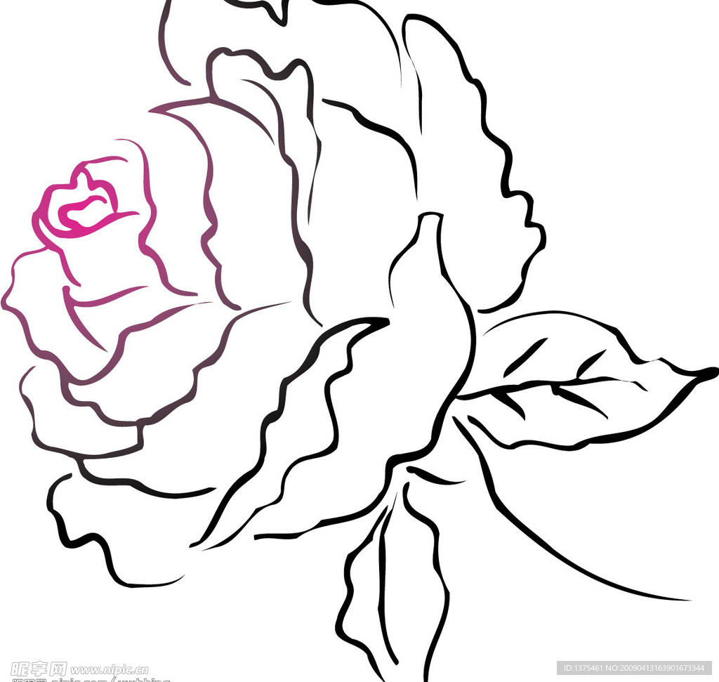 手绘鲜花