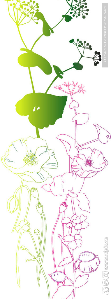 手绘鲜花