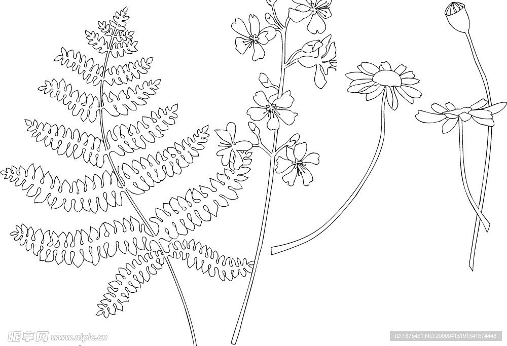 手绘鲜花