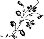 手绘鲜花