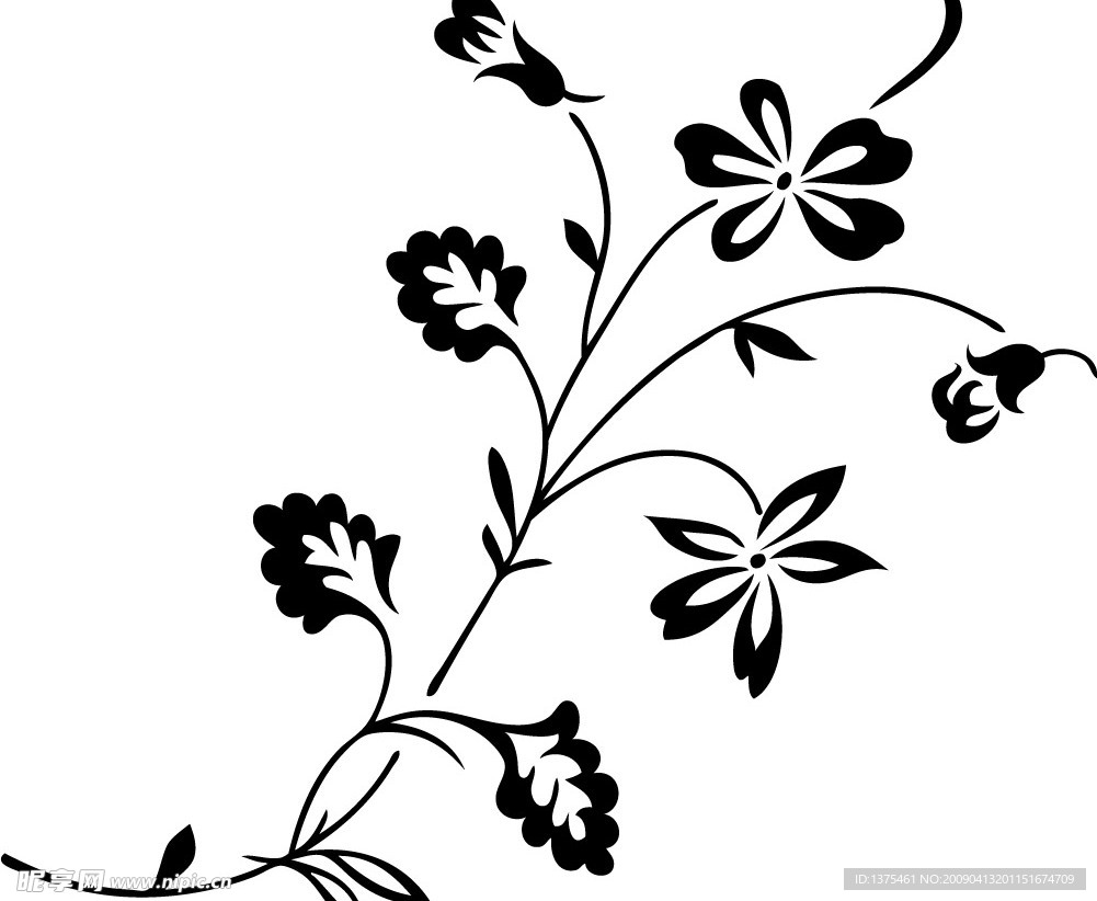 手绘鲜花