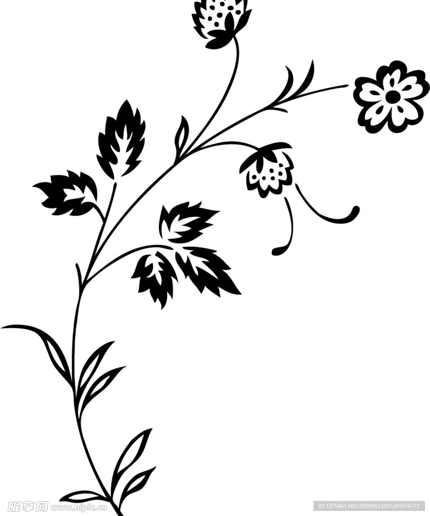 手绘鲜花