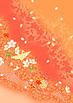 多彩迷人花卉18