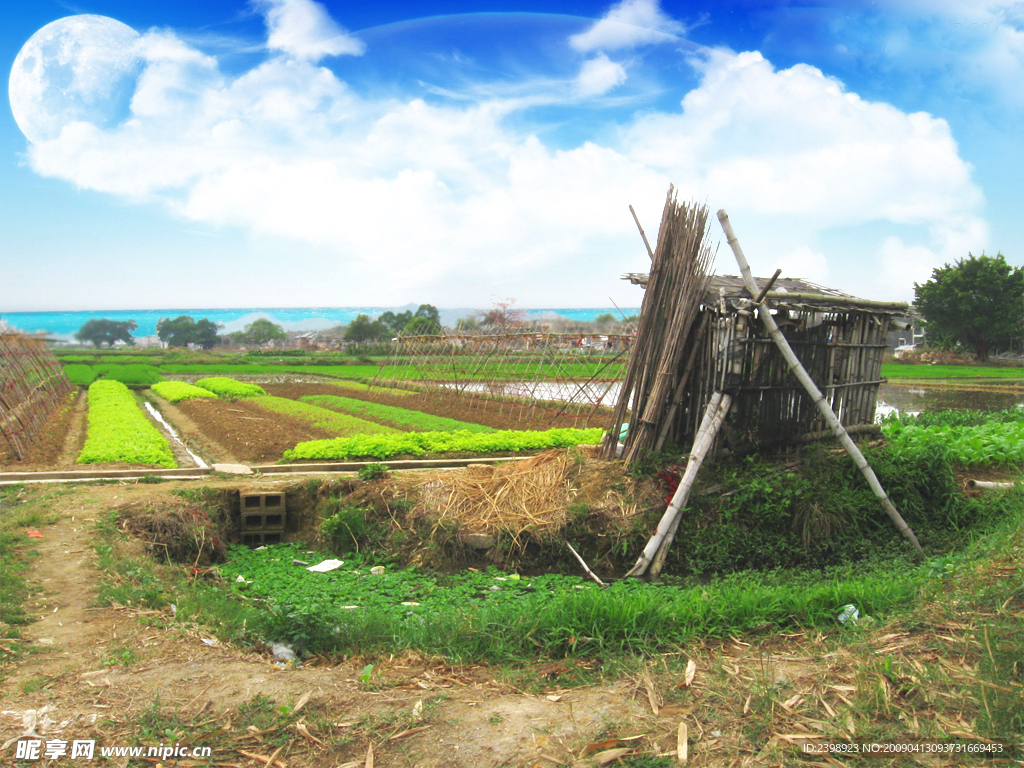 揭阳官田美景—田间茅屋