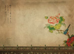 美丽的花