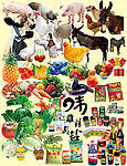 家畜家禽蔬菜水果调料干调超市用品