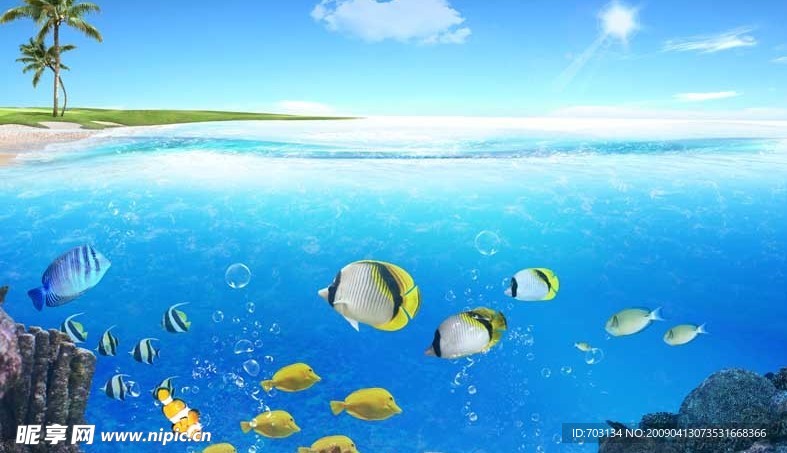 海洋生物