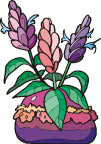 手绘鲜花