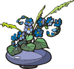 手绘鲜花