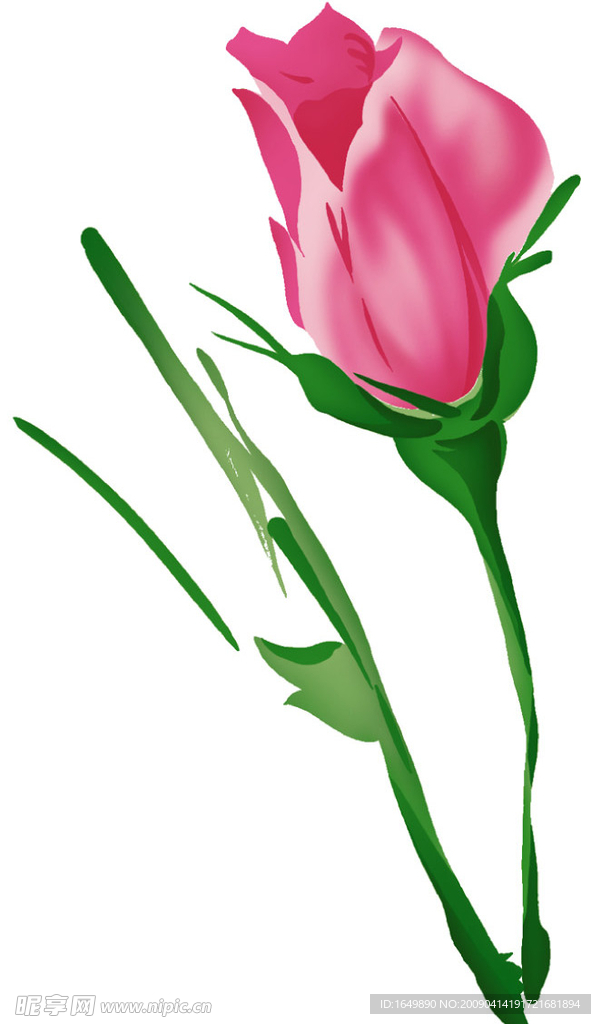 花 美艳