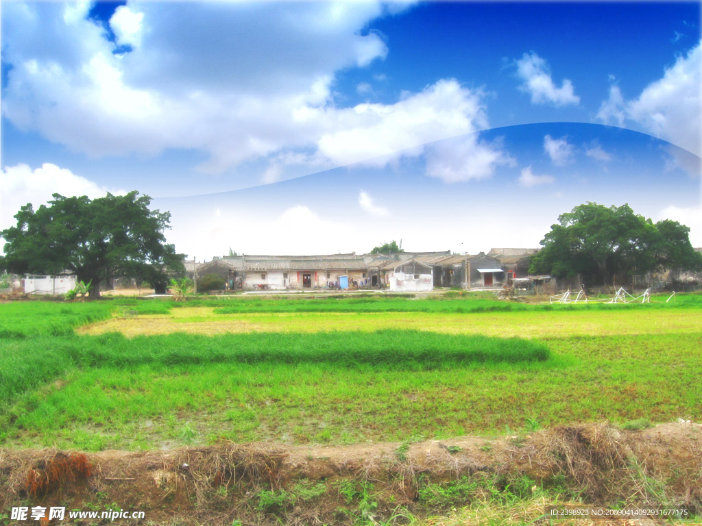 揭阳官田美景——田野村庄