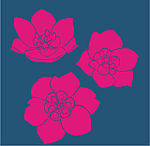 金雲花flower01