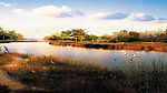 山水风景