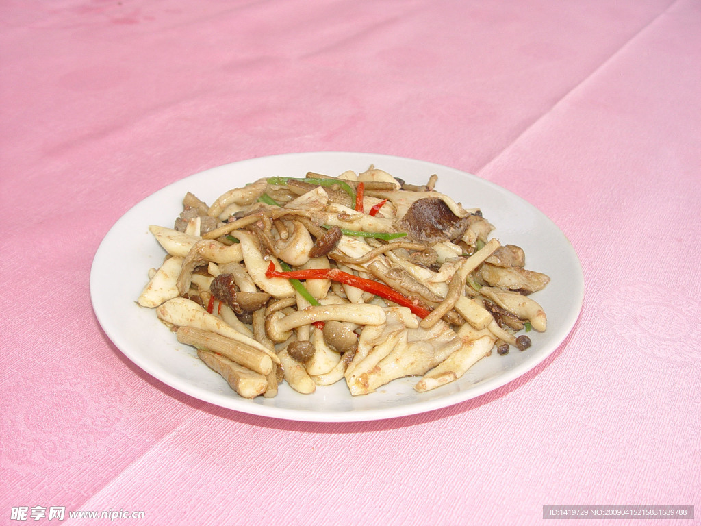 锔什菌