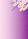 多彩迷人花卉30