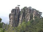 鹰窝峰