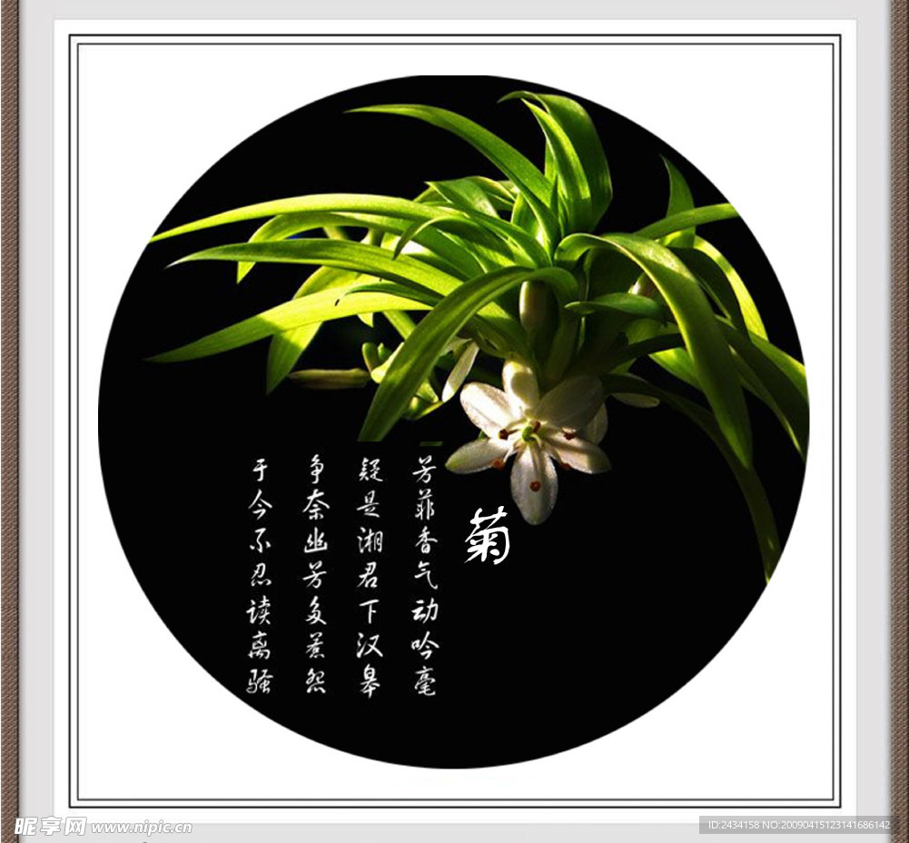 梅花