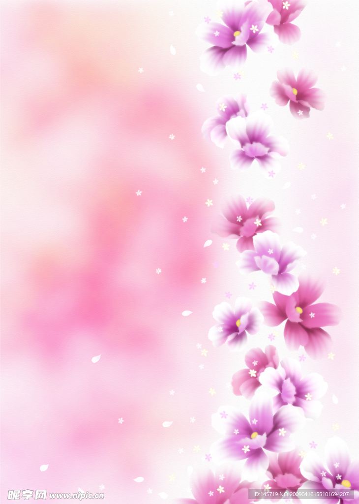 多彩迷人花卉37