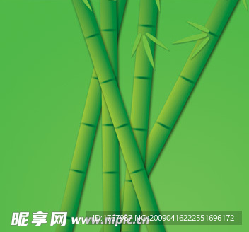 竹叶  竹节  白云