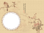 啼鸣争艳