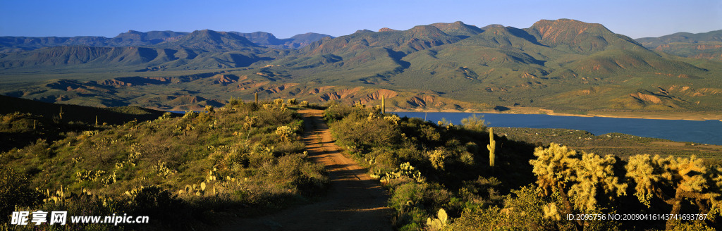风景