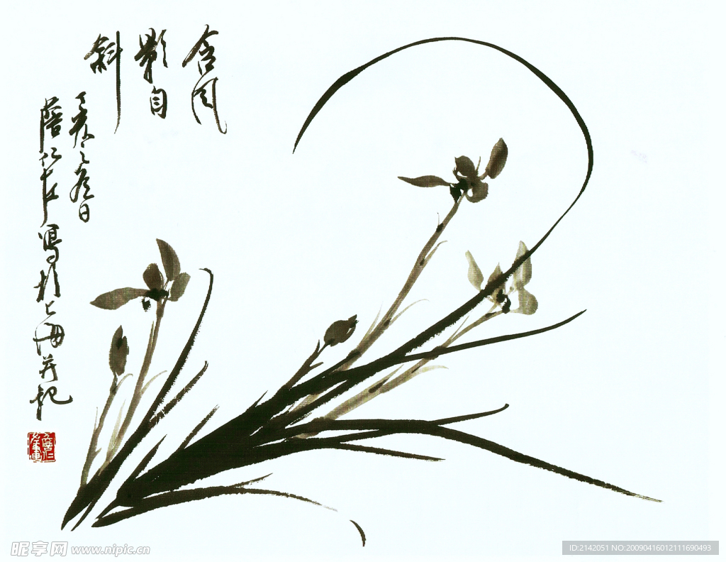 兰花写意花草