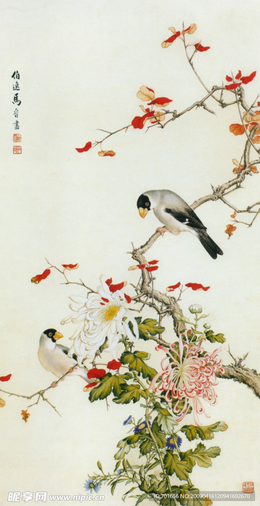 花鸟图