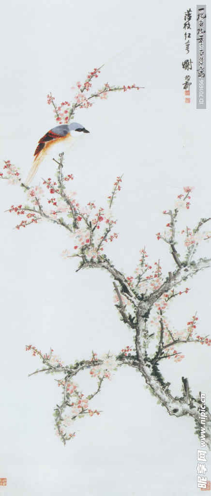 花鸟国画