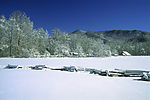 雪景