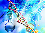 DNA 染色体