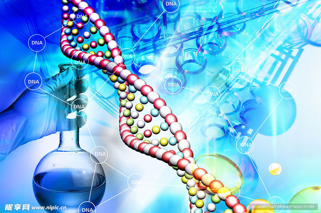 DNA 染色体