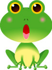 青蛙