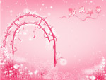 2009摄影元素