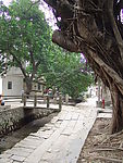 广东小洲村