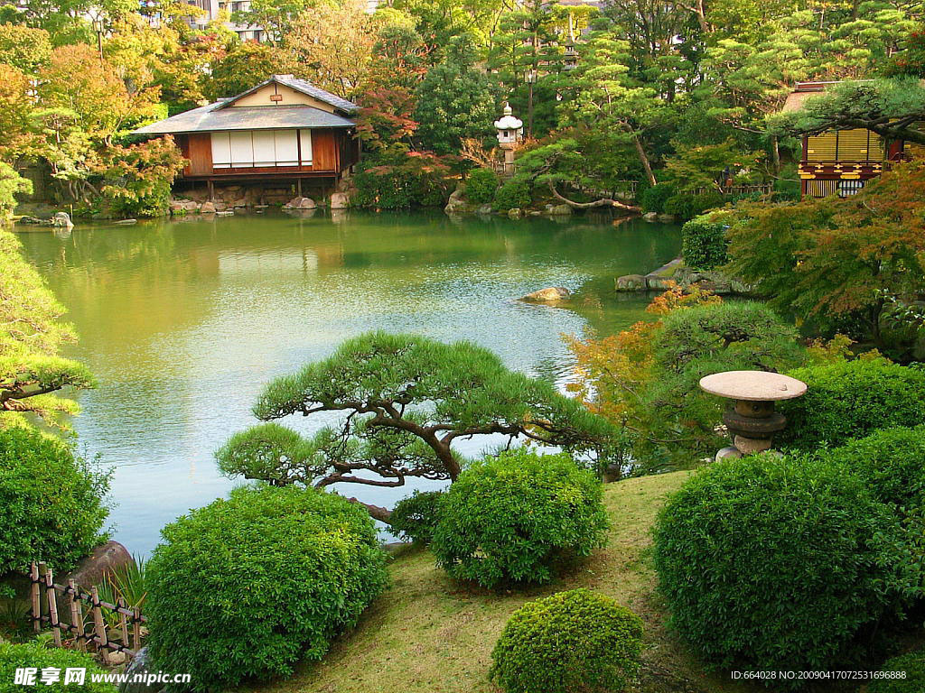 树林 河流 松树 草地 小桥 园林