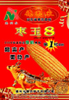 玉米海报
