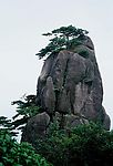 奇松怪石