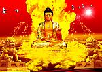 金身如来佛主