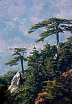 泰山风景区