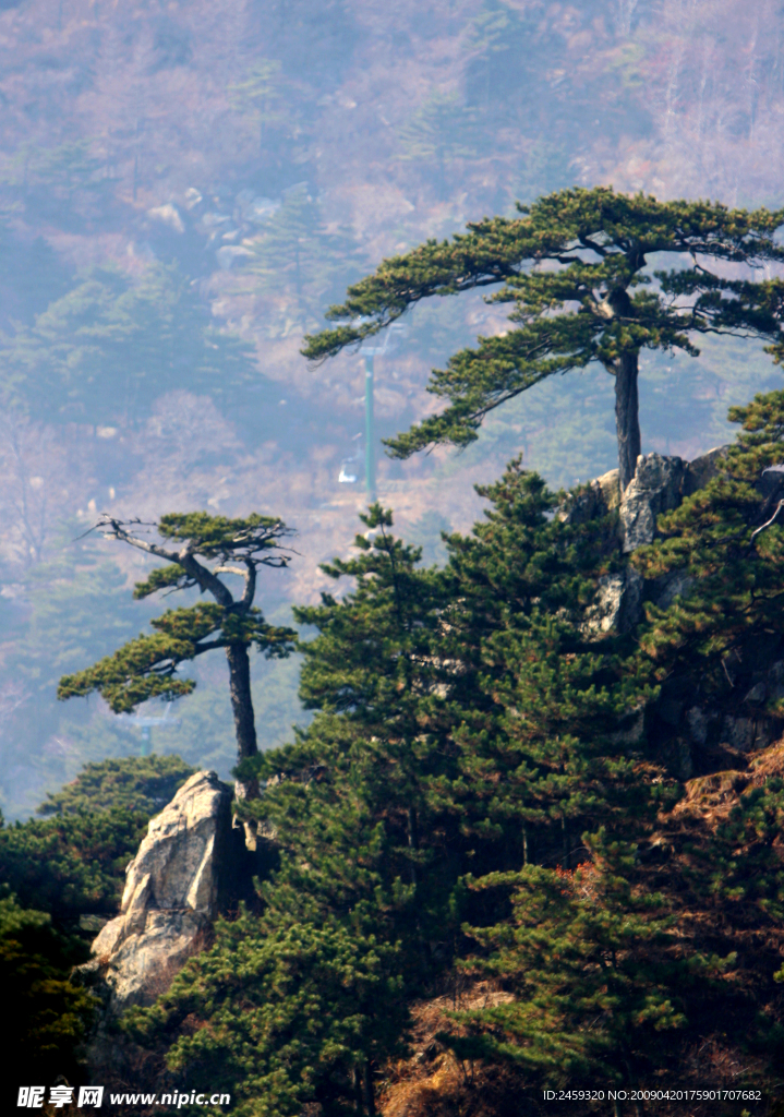 泰山风景区