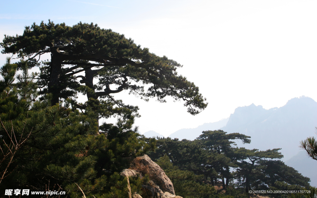 泰山风景区